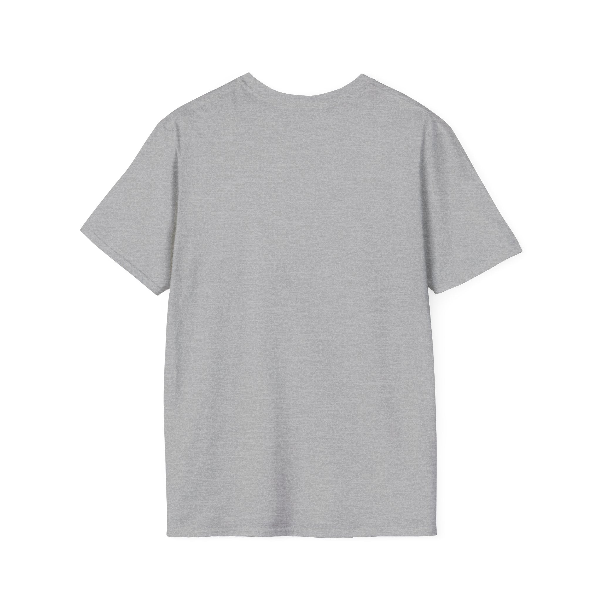I Don’t Sugarcoat T-Shirt — Sassy Raccoon Graphic Tee